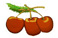 Kirsikka