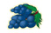Rypäle
